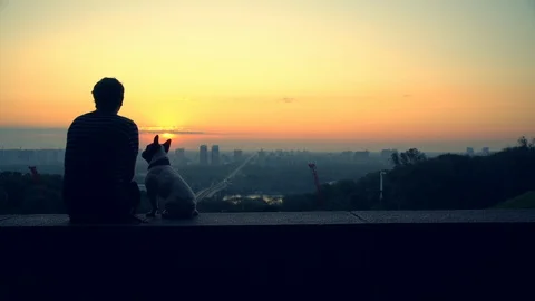 A man caresses his dog while enjoying the view Stock Footage 112094011