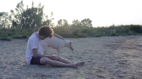 Man caressing his dog at the beach Stock Footage 40763997
