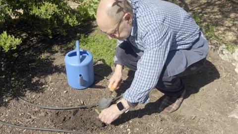 Man Caring for a Garden Sapling with Watering Can and Tools Stock Footage 307739868
