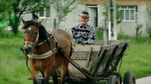 Man in Carriage pulled by Horse through a small Village Stock Footage 43051581