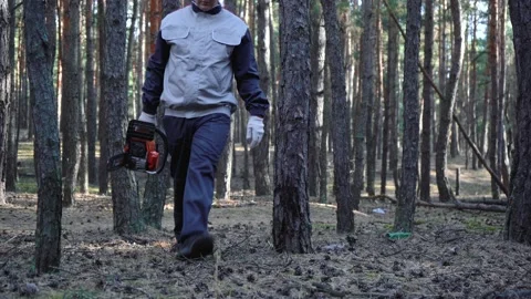 Man carries a chainsaw in a pine forest Stockbeeldmateriaal 140374854