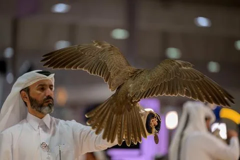 A man carries a falcon during 8th edition of Katara International Hunting a.. Foto stock