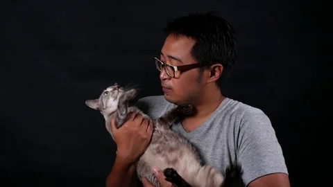 Man carry and playing a cat with care. on black background Stock Footage 78493668
