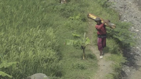 Man Carrying Big Trunk Stock-Footage 195946452