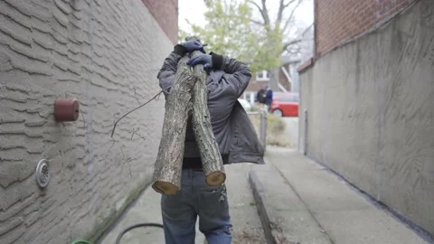 Man Carrying Branches Video stock 208886507