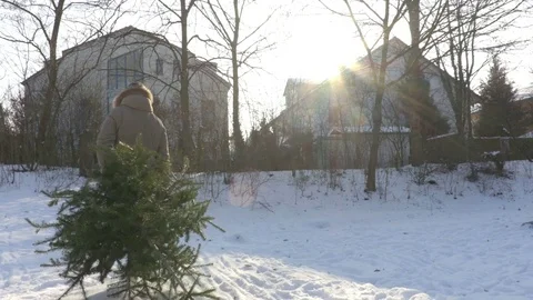 Man Carrying Christmas Tree Stock Footage 71755481