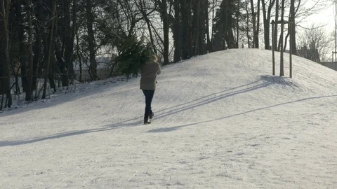 Man Carrying Christmas Tree Stock Footage 71759559