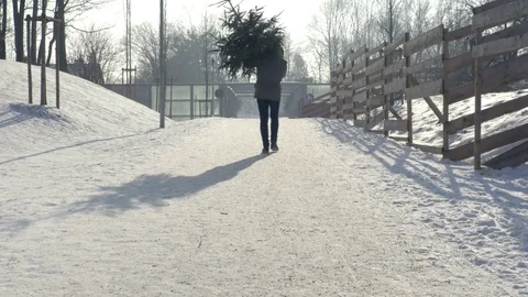 Man Carrying Christmas Tree Stock Footage 71762063
