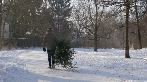 Man Carrying Christmas Tree Video stock 71763430