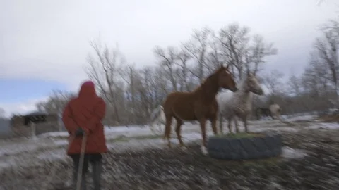Man carrying fodder in ranch Stock Footage 83864691