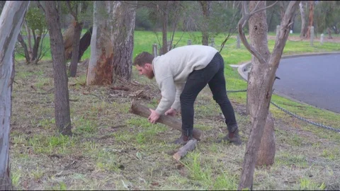 Man carrying log in forest Vídeos de archivo 76101895