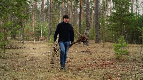 Man carrying two long birch trunks through the forest, one with visible roots Video stock 334441335