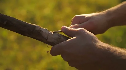 Man carving something from a wood Stock Footage 83874350