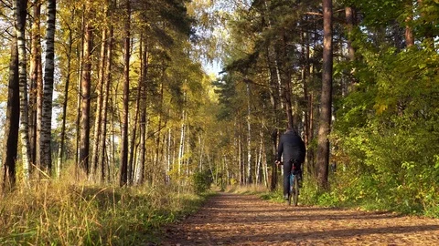 Man in casual wears riding bicycle in an autumn park 스톡 동영상 80993013