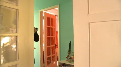 Man with cat in apartment Vídeo Stock 641584