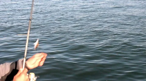 Man catch small fish Stock-Footage 44143235