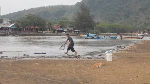 A man catches fish on the beach Stock Footage 257041699