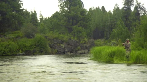 Man catches a fish Video stock 59737961