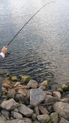 When You Go Fishing on the 4th of July, , Stock Video