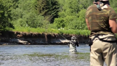 Man catches fish in the river. man fishing with a rod and reel. fly fishing. Stock Footage 78530080