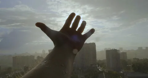Man catches Sun's Rays. Reaching for Sun. Enjoy. Evening Sun. Rain Drops on Palm Stock Footage 134333150