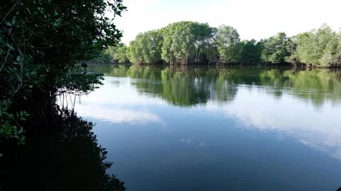A man catching fish in a calm river Video stock 134791002
