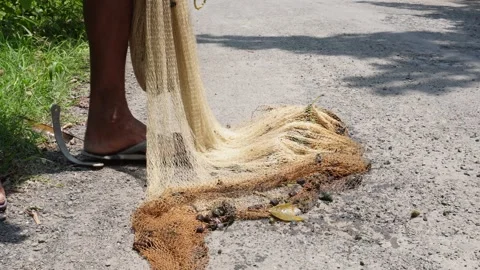Man caught fish Vidéo 342815380