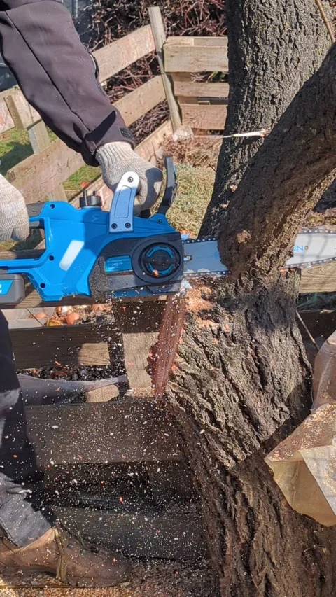 Man with chainsaw  cut trees Stock Footage 267689846