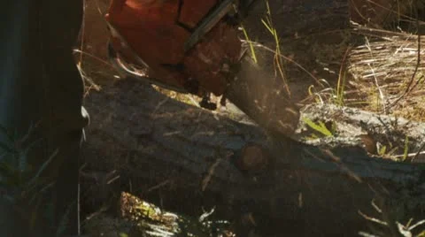 Man With Chainsaw Cuts Log 库存影片 12035351