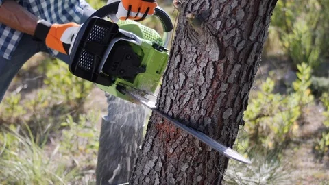 Man with Chainsaw Cuts Through Tree Stock Footage 93503697