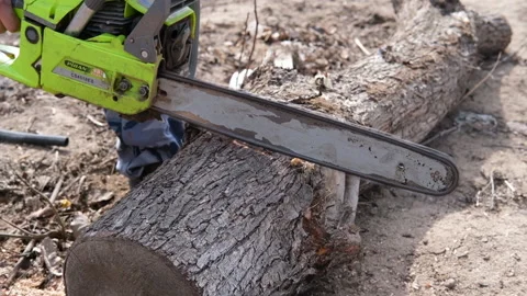 Man Chainsaw cutting, cutting a tree trunk Petrol chainsaws Stock Footage 159403668
