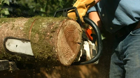 Man with chainsaw cutting log, slow motion Stock-Footage 62282335
