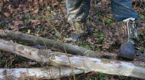 Man with a chainsaw cutting tree 스톡 동영상 58582949