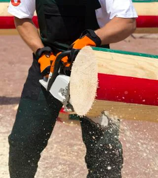 Man with chainsaw cutting the tree Stock Photos