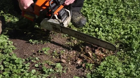 Man with chainsaw cutting tree root Stock Footage 134585446
