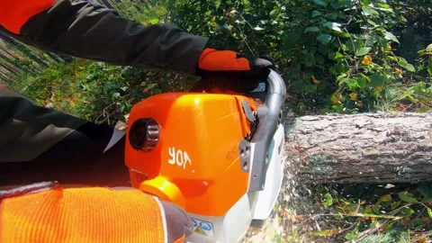 Man with chainsaw cutting wood Closeup slow motion footage on the waist and arms Stockbeeldmateriaal 336570754