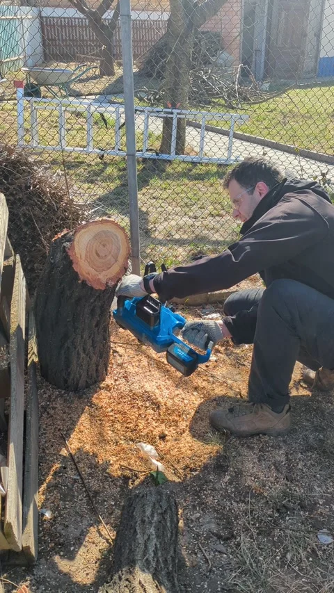 A man with a chainsaw in the garden Stock Footage 267690387