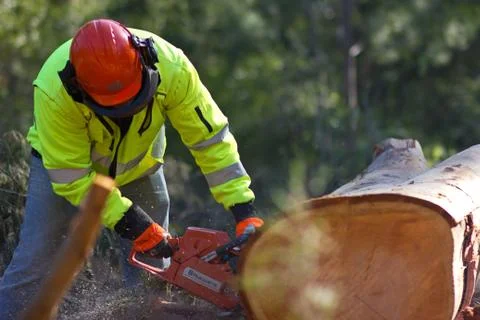 Man with a chainsaw Stock Photos