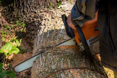 Man with a chainsaw Stock Photos