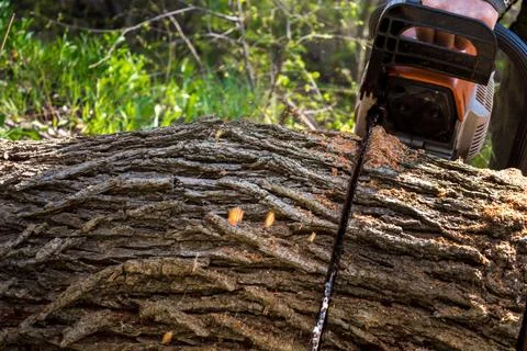 Man with a chainsaw Stock Photos