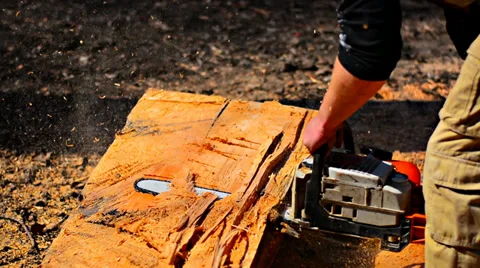 Man with a chainsaw sawing a tree lined Video stock 38244402