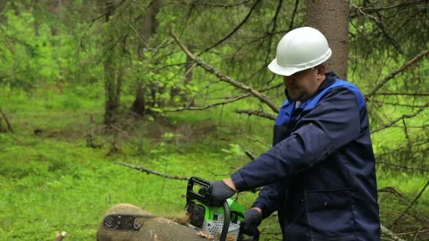 Man with chainsaw working in forest Stock Footage 95949632