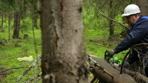 Man with chainsaw working in forest Stock Footage 95949875