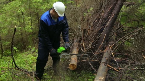 Man with chainsaw working in forest 库存影片 95950552