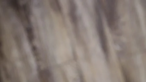 A man changes the TV channels using the remote control. Stock Footage 133316648