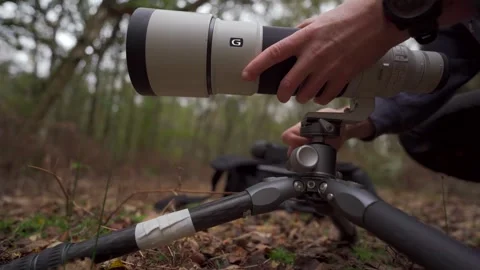 A man changing his small camera for a huge camera lens in a forest Stock Footage 290513917