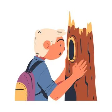 Man Character Studying Nature Exploring Peeking in Hollow of Tree Trunk Vector Stock Illustration