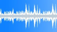 Man Chased By Lion Sound Effect