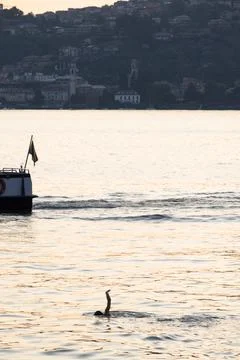 Man chasing a boat and asking for help Stockfoto's
