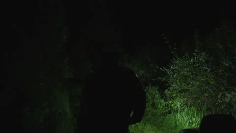 Man Chasing Someone Through the Woods in the Dark Stock Footage 208764612